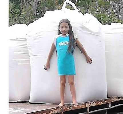 Buy Bulk Diatomaceous Earth